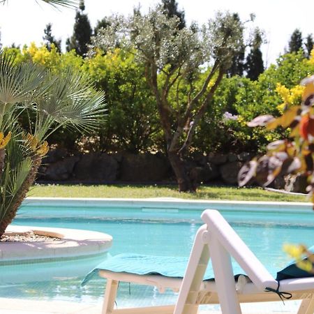 Casa Gecko Hotel Vilajuiga Ngoại thất bức ảnh