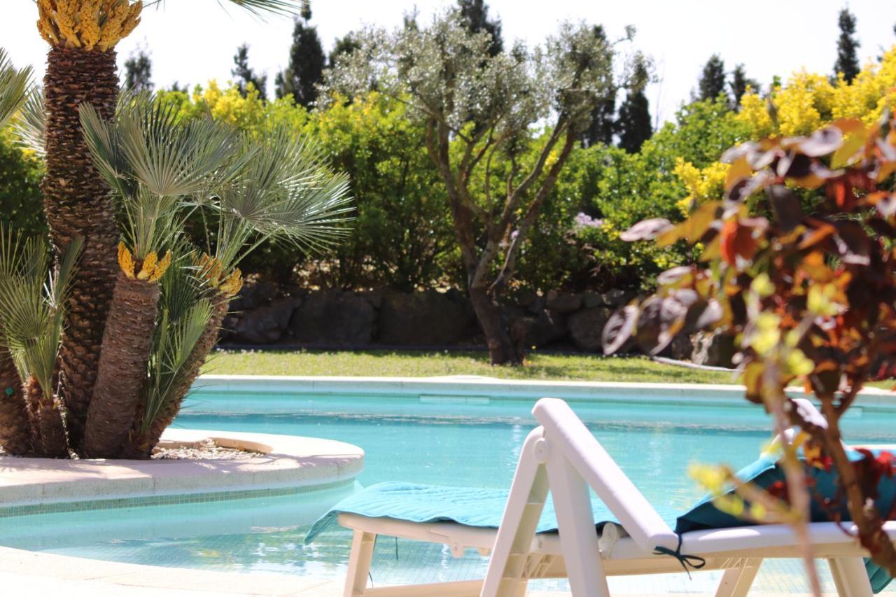 Casa Gecko Hotel Vilajuiga Ngoại thất bức ảnh